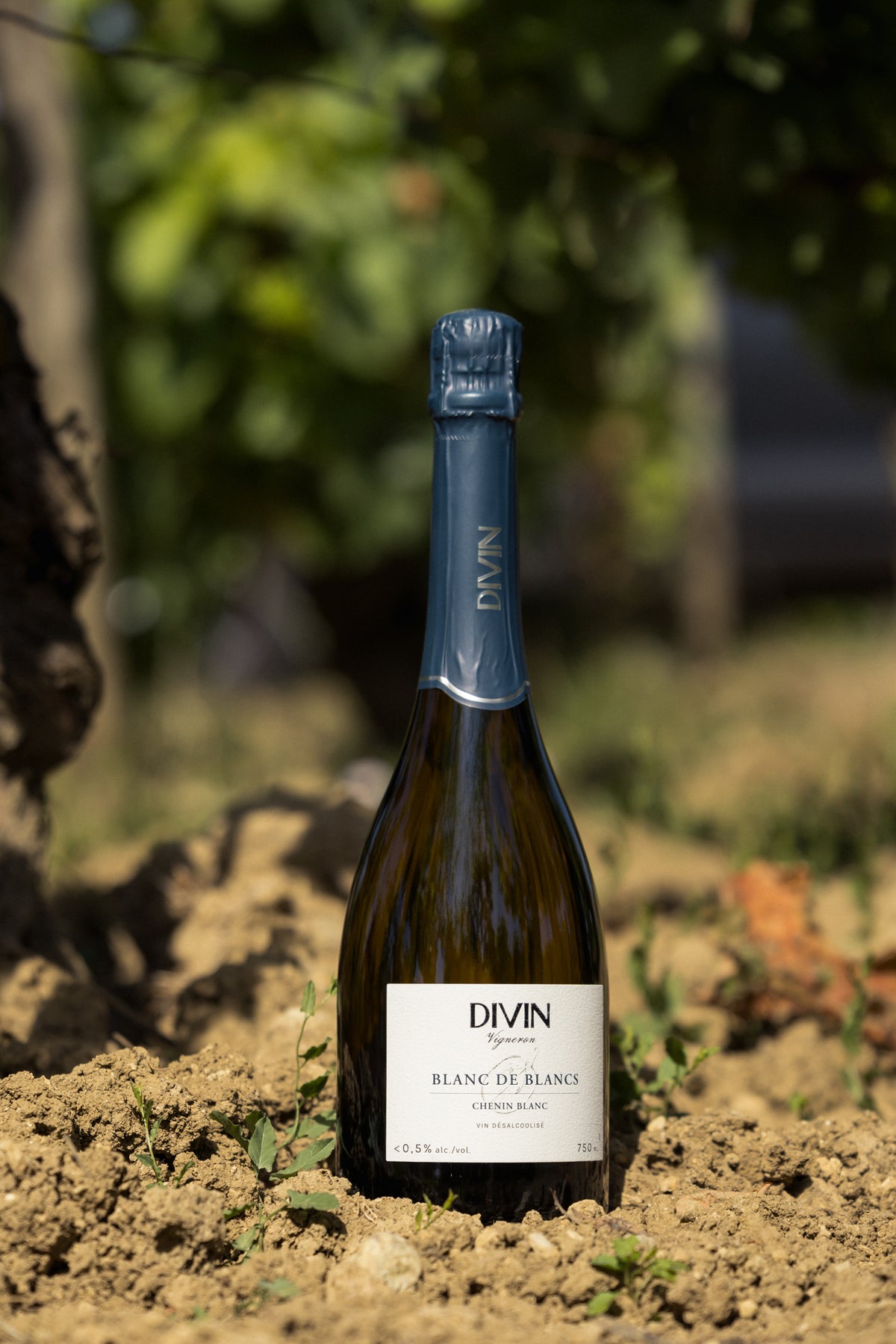 Divin Vigneron Blanc de Blancs