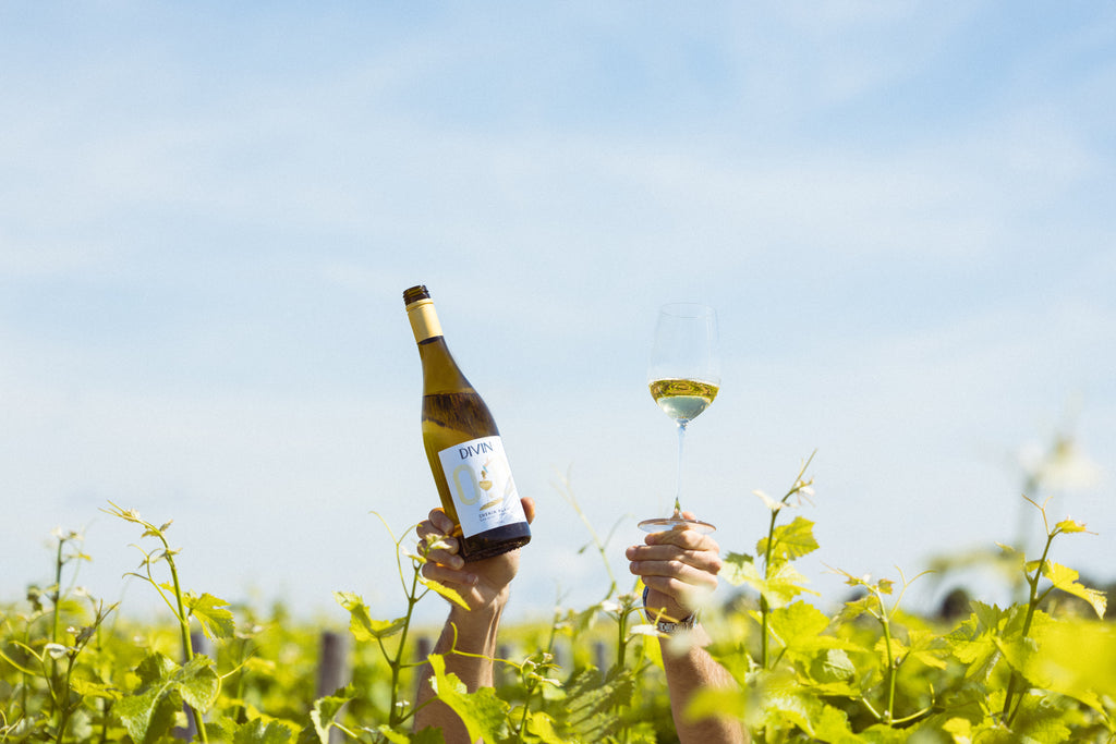Divin Chenin Blanc 0.0%