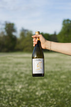 Divin Chenin Blanc 0.0%