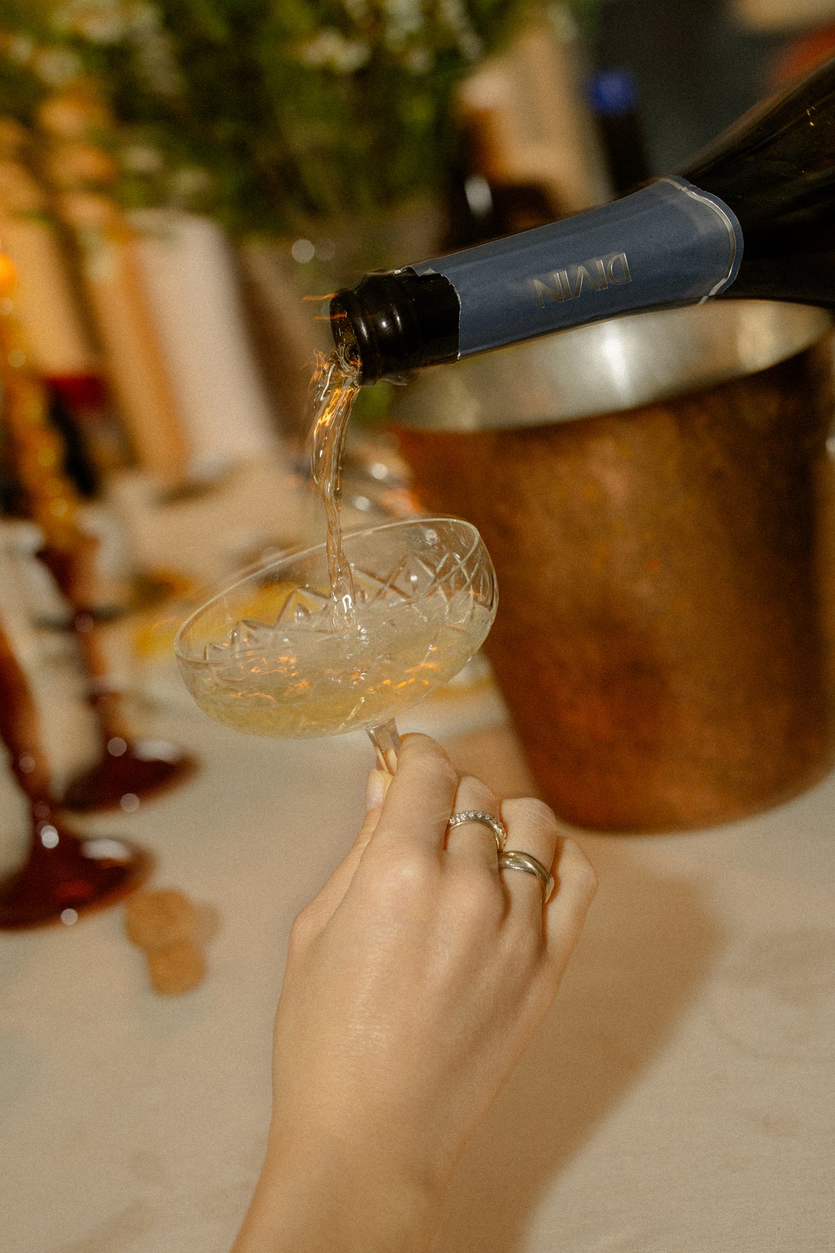 Divin Vigneron Blanc de Blancs