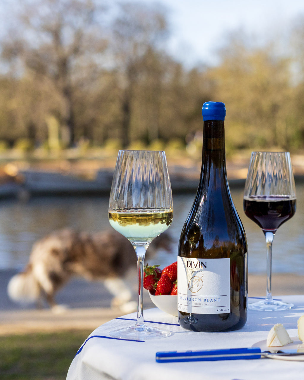 Divin Vigneron Sauvignon Blanc